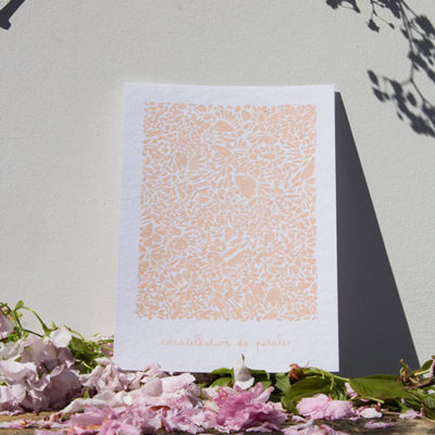 A5-papierblanc-constellationdepetales-saumon