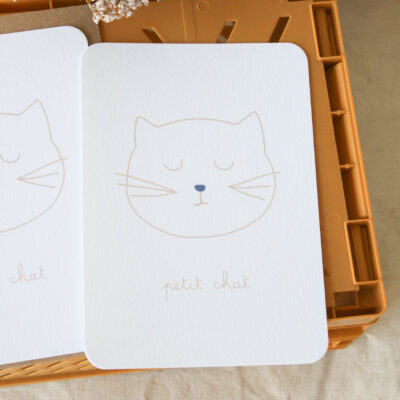 Carte postale petit chat bleu