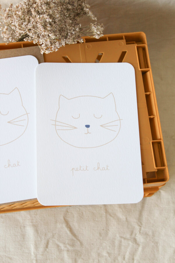 Carte postale petit chat bleu