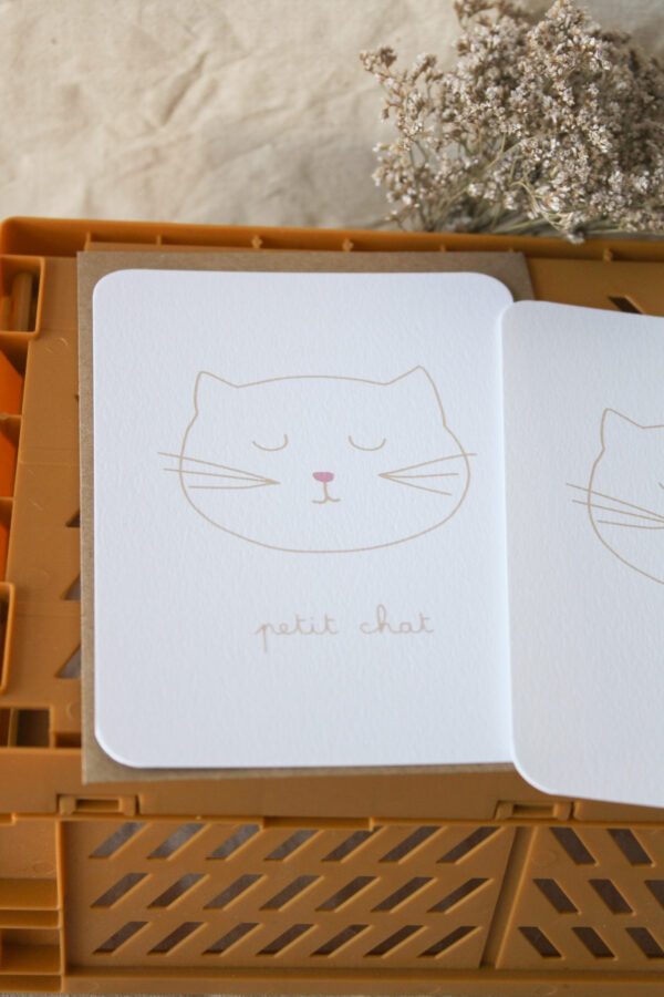 Carte postale petit chat rose