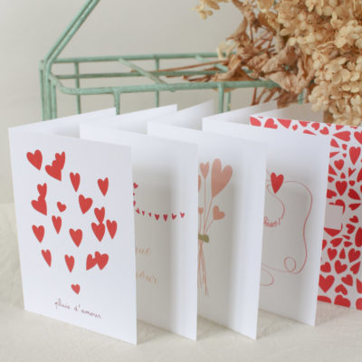- Lot de 5 cartes postales à volet au choix