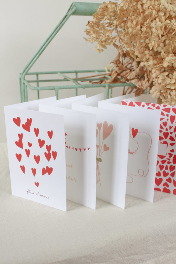 - Lot de 5 cartes postales à volet au choix