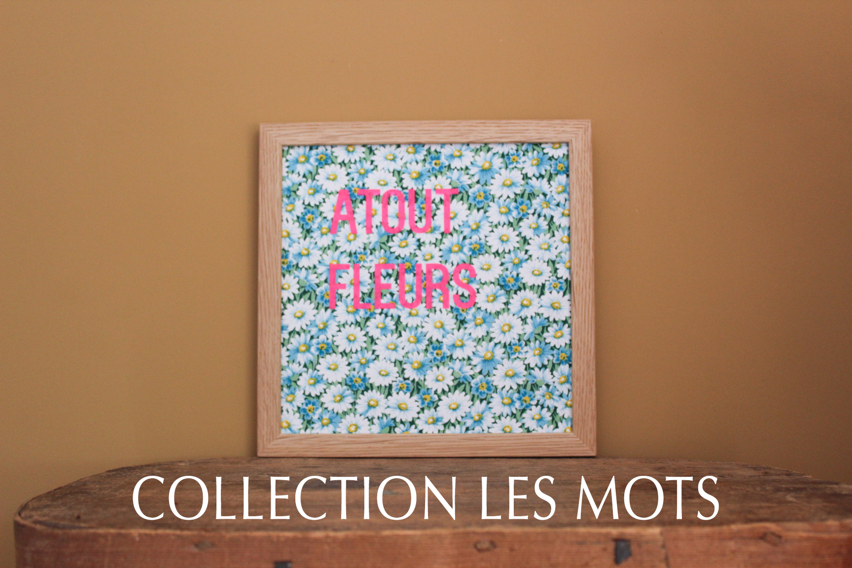lesmots-vintage-tissu-revalorise-serigraphie-latelierdesorgjpg