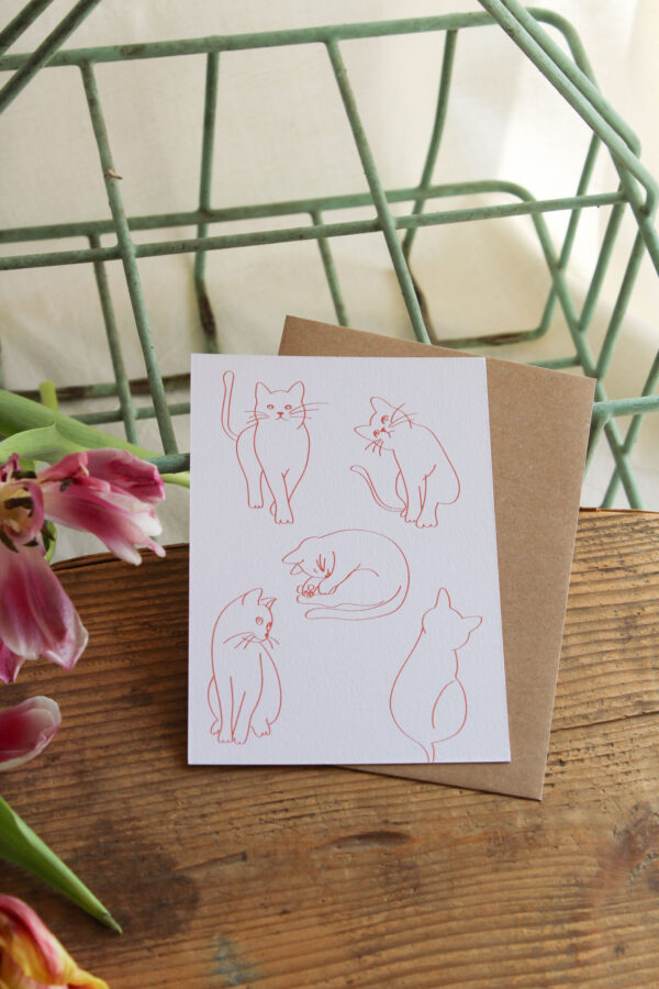 Carte postale Les chats