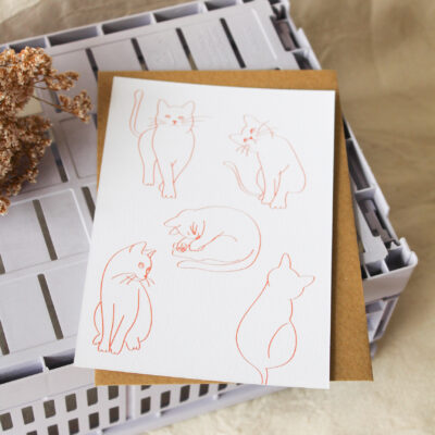 Carte postale Les chats