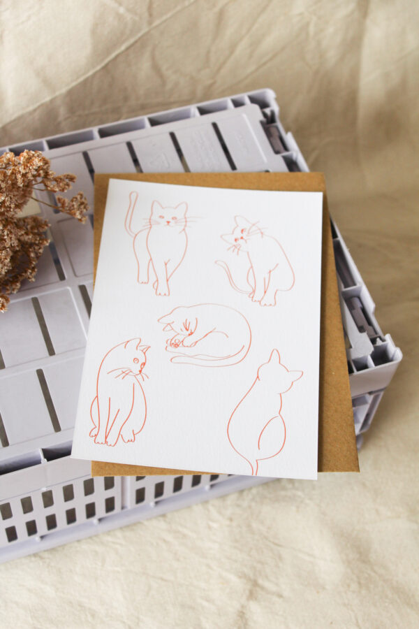 Carte postale Les chats