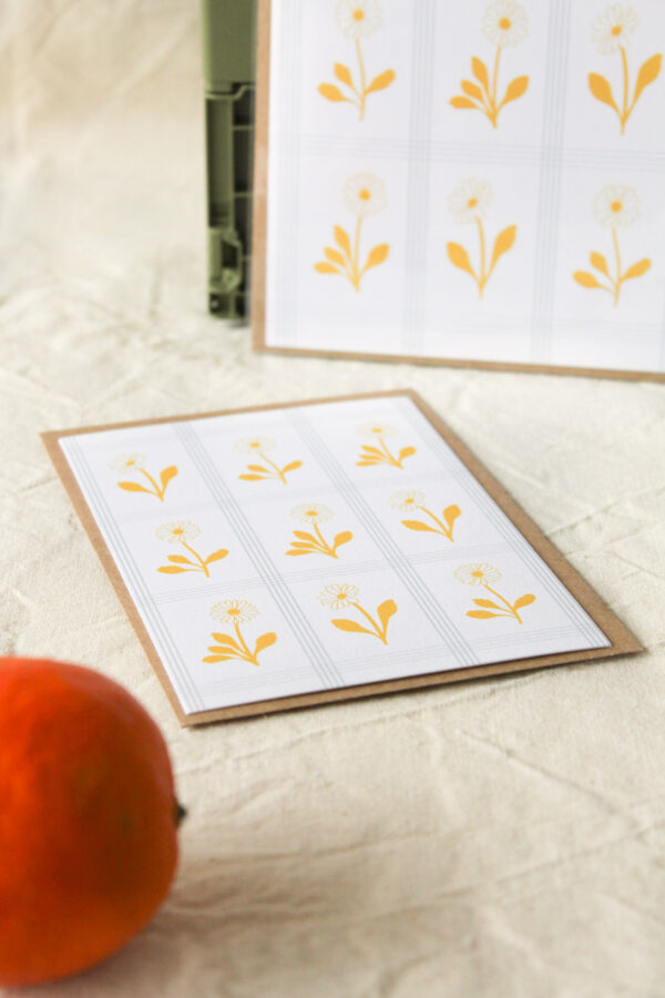 Carte Pâquerettes encadrées