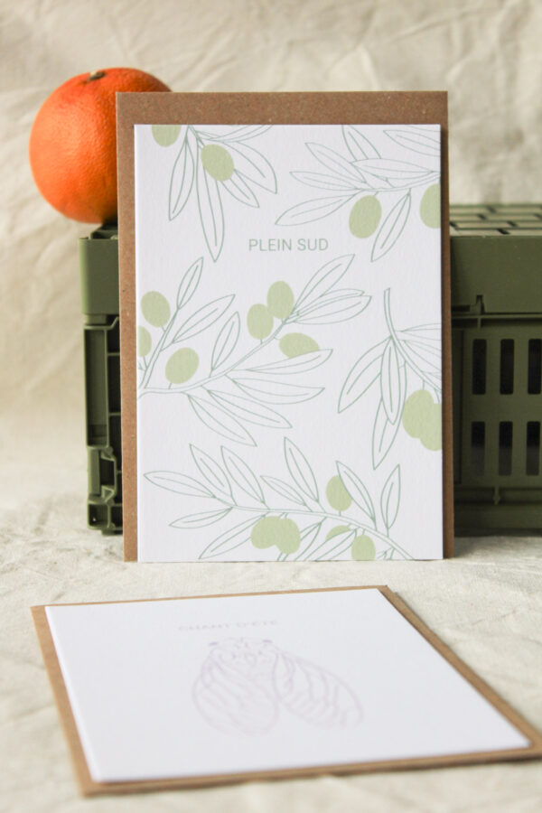 Carte Plein Sud