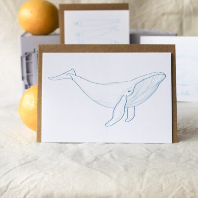 Carte Baleine