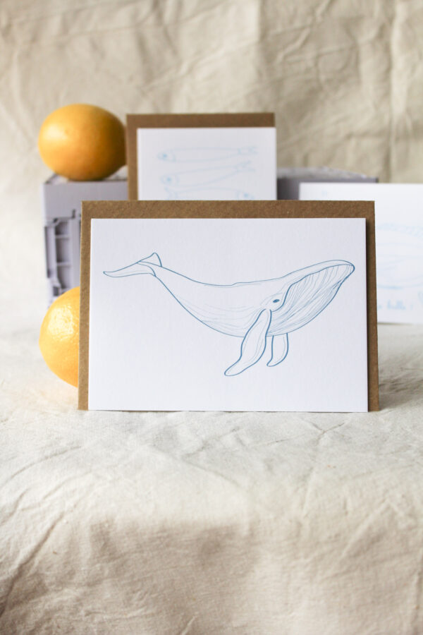 Carte Baleine